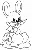 lapin2