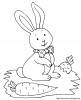 lapin29