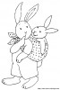 lapin32