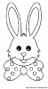 lapin33