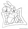 lapin34