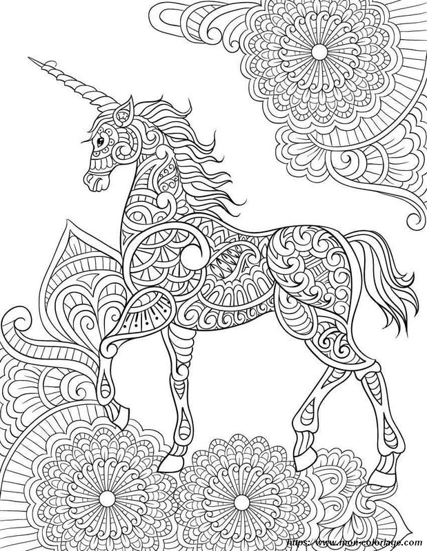 Coloriage de licorne pour adulte