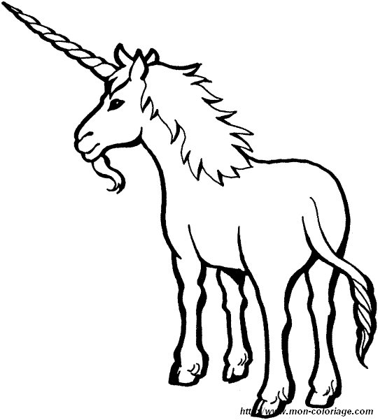 licorne 002