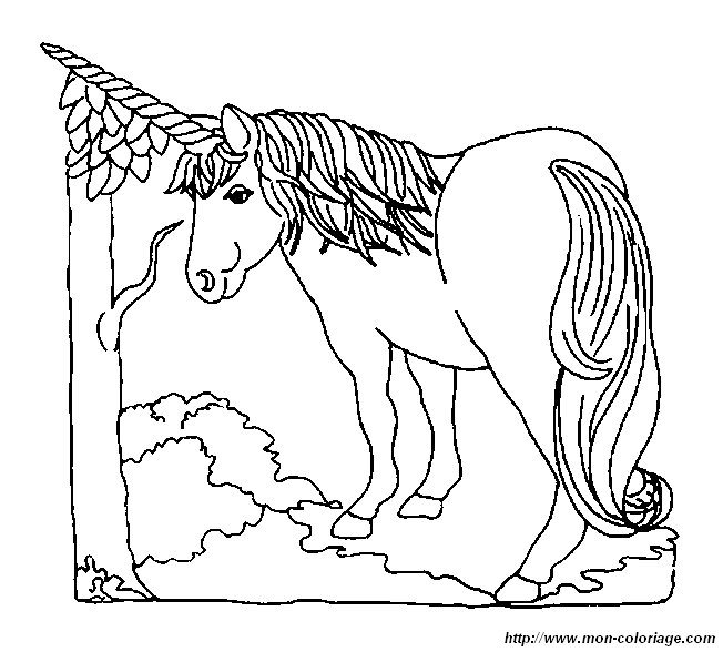 licorne 020