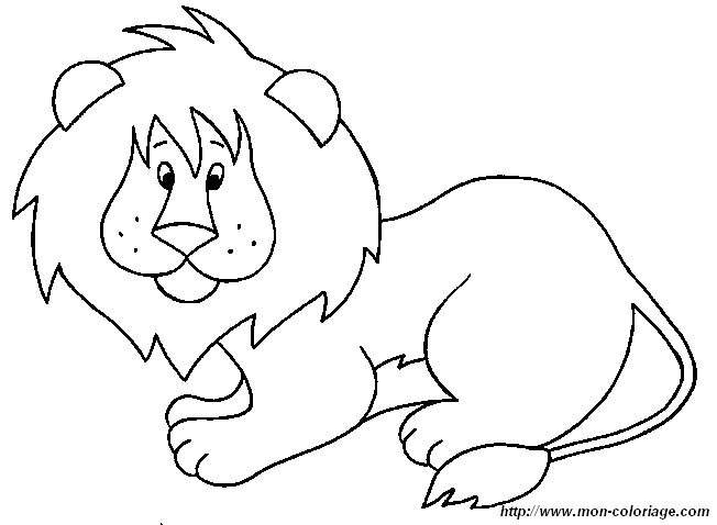 lion1