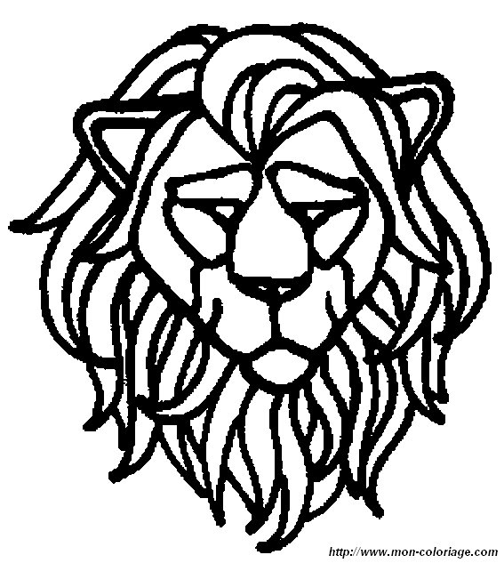 lion20