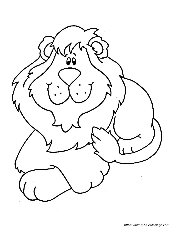 lions 005