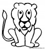 lion3