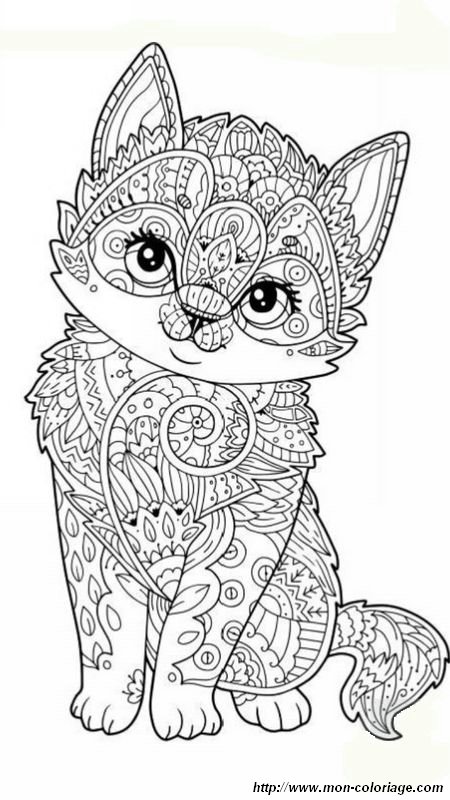 Mandala sur un chaton