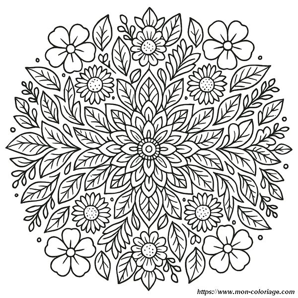 Un jeu de mandala avec des jolies fleurs