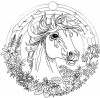 Un beau cheval pour le coloriage