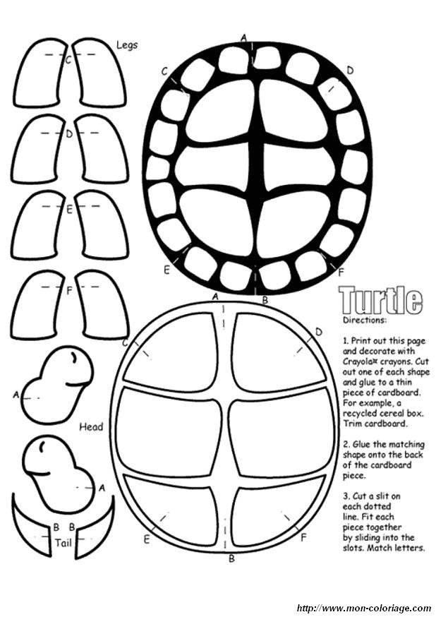 tortue 33