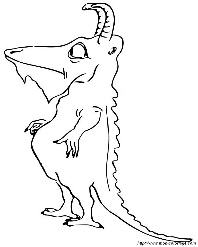 Un monstre assez curieux