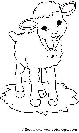 10coloriage mouton