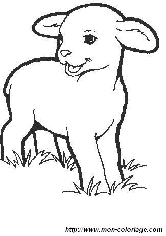 13coloriage mouton