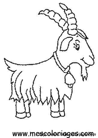 16coloriage mouton