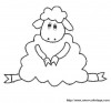 11coloriage mouton