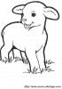 13coloriage mouton