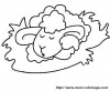 4coloriage mouton