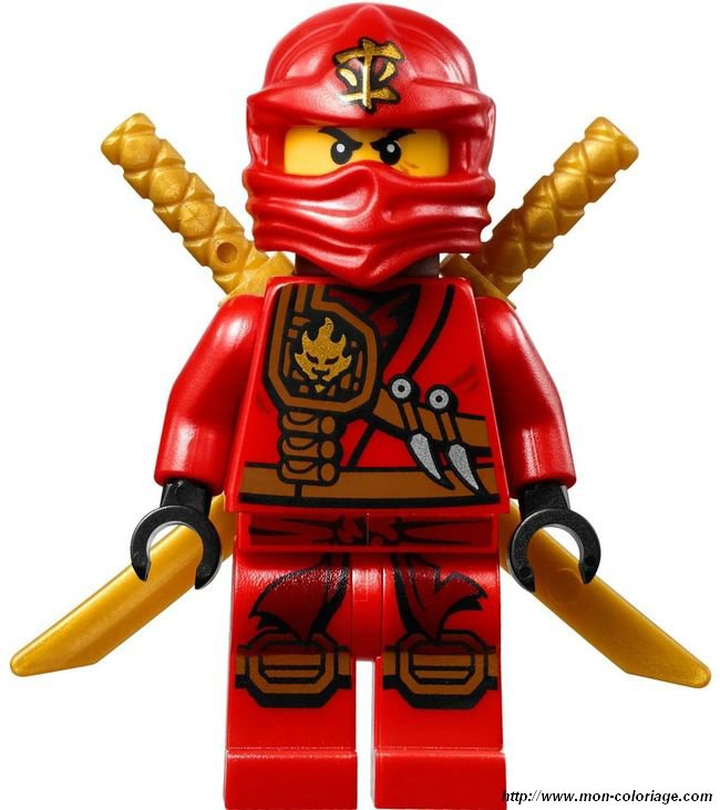 Lego Ninjago en couleur