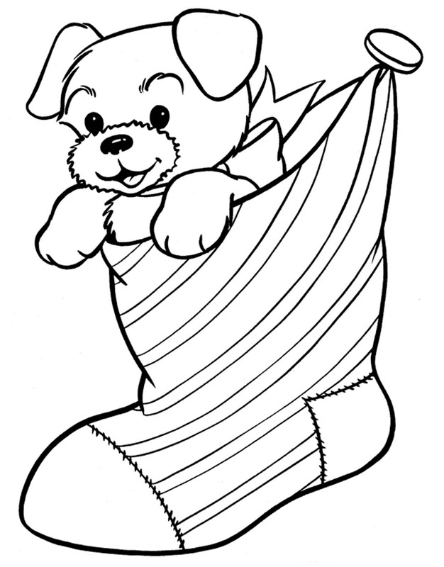 Un petit chien adorable en cadeau