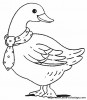 oie11