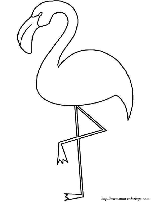 flamand rose