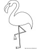 flamand rose