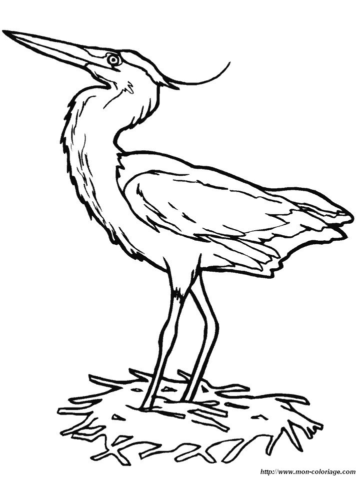un heron