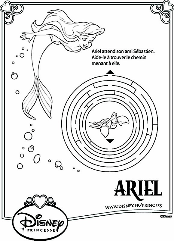 Ariel doit retrouver son ami