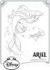 Ariel avec ses amis sous la mer