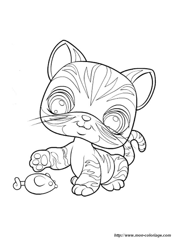 coloriage petshop chat  