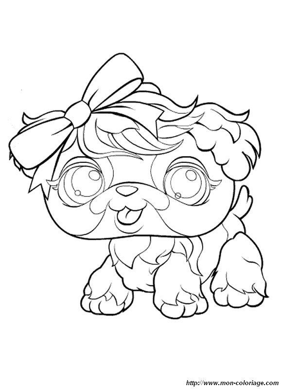 coloriage petshop chats  