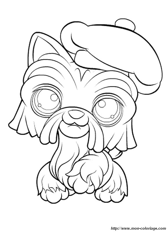 coloriage petshop chien beret  