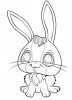 Lapin pour colorier