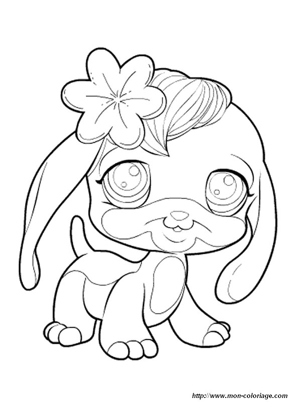 petshop 01