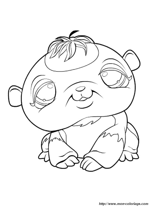 petshop coloriage  