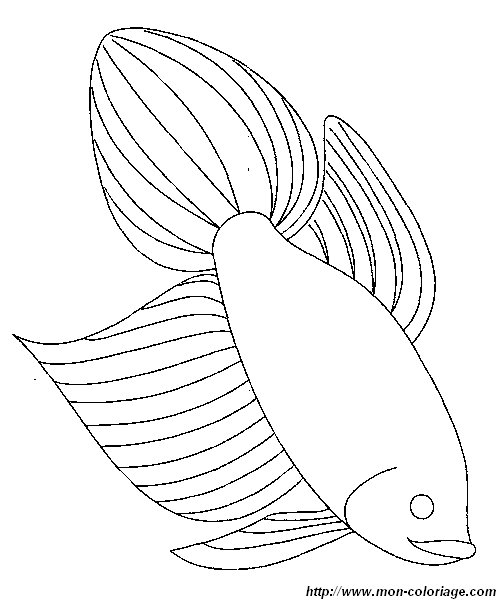 poisson12