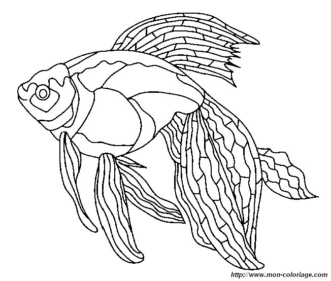 poisson20