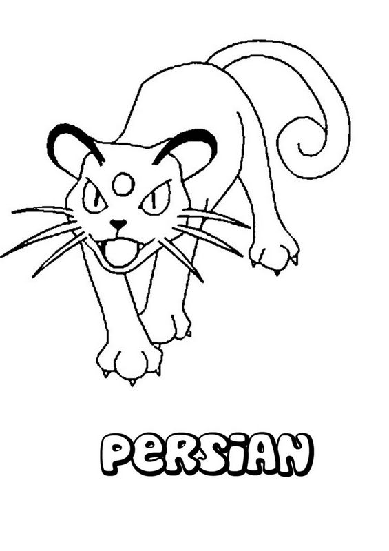 Evolution du chat persant