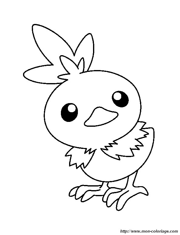 coloriage pokemon poussifeu 1  