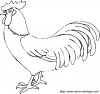 poules 012