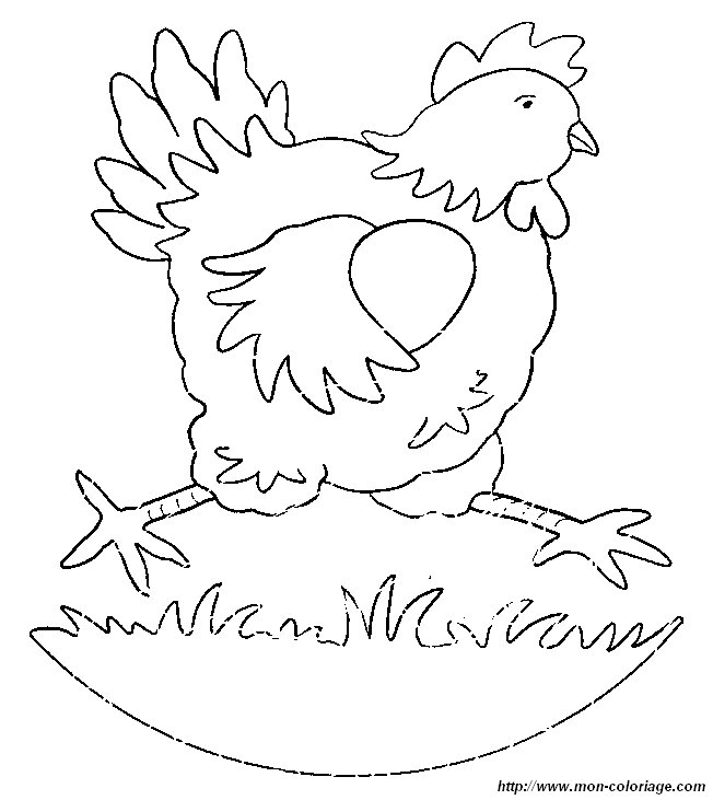 poules 001