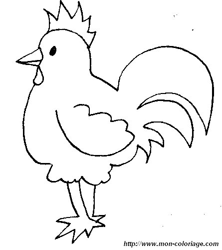 poules 011