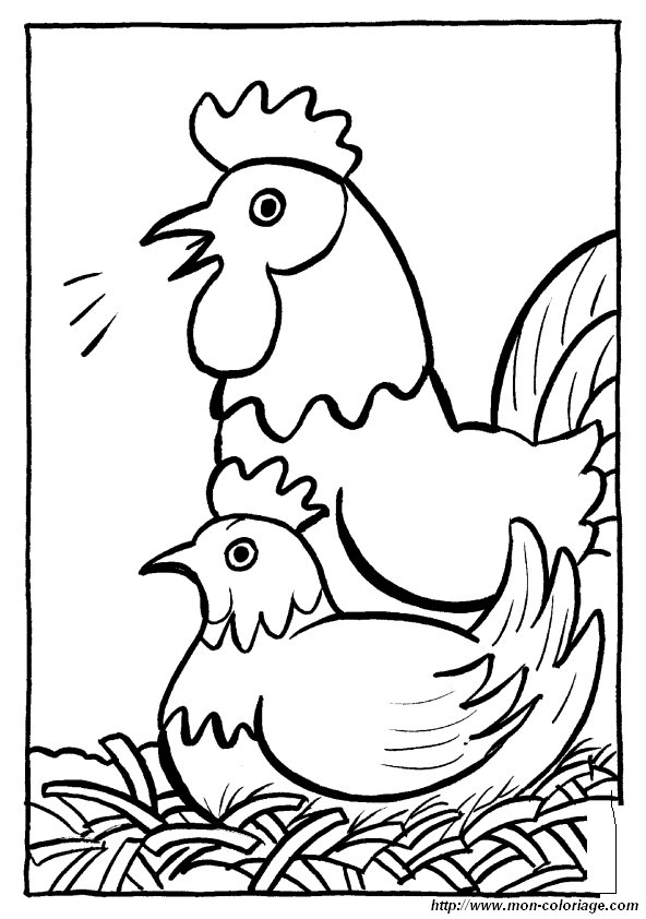 poules 019