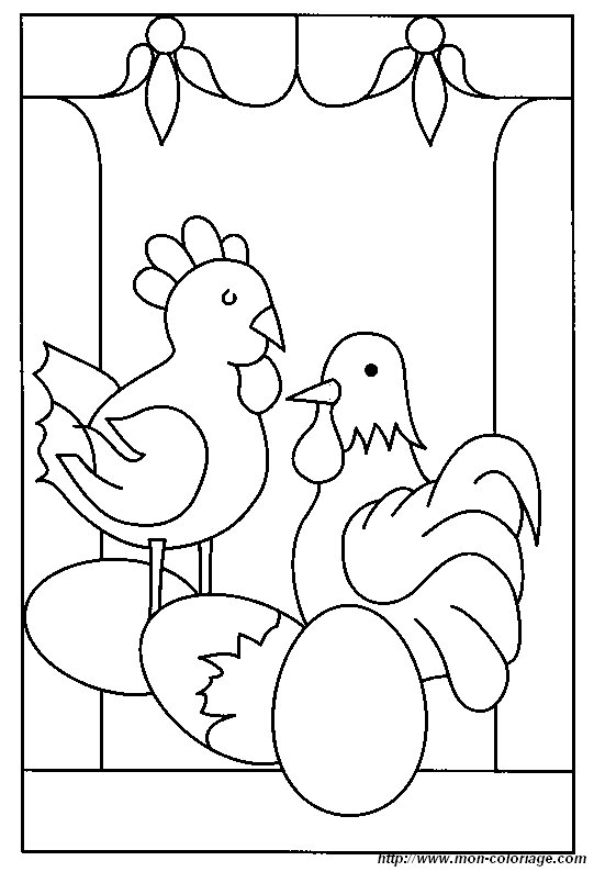 poules 027