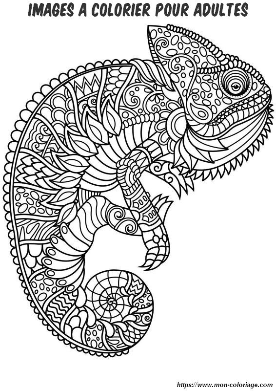 Coloriage de cameleon pour adultes