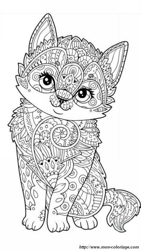 Coloriage de petit chaton