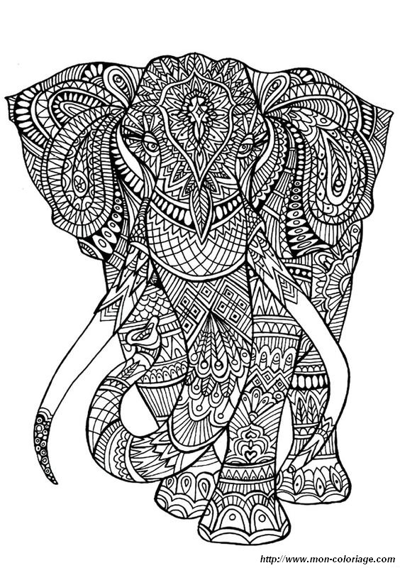 Un elephant  majestueux et impressionnant