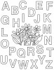 Alphabet pour maternelle